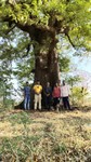 IMG_20200427_163118.jpg